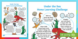 Farm Home Learning Challenges Reception FS2 (teacher made)