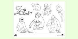 monkeys jumping on bed coloring pages