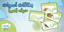 كرّاسة تدريبات حرف الصاد- أوراق عمل- حرف ص- تمارين حرف ص.