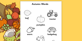 Leaf Worksheet - leaf worksheet, leaf, leaves, collecting