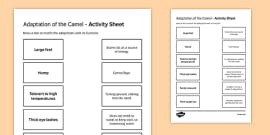 What is Behavioural Adaptation? Twinkl NZ - Twinkl