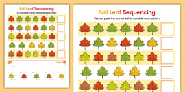 Numbers 0-20 on Fall Leaves (teacher made) - Twinkl