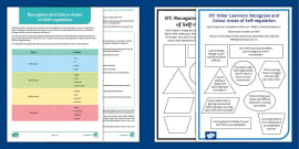 Areas of Self-Regulation Display Posters (teacher made)