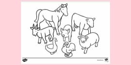 FREE! - Realistic Zoo Animal Colouring | Colouring Sheets