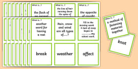 KS2 Speech and Language: Homophones Worksheet (teacher made)