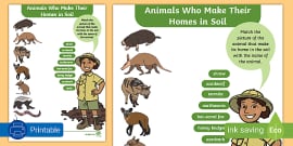 Soil Animals Grade 2 | Word Mat | Animals That Live In Soil Soil Animals Grade 2 | Word Mat | Animals That Live In Soil
