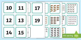 Native Australian Animals Counting Worksheet (teacher made)