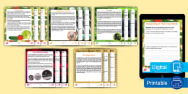 Fourth Grade Reading Comprehension Activity Pack - Twinkl