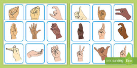 BSL Animal Flashcards (teacher made)