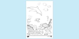 FREE! - Underwater Plants Colouring Pages | Worksheet | Twinkl