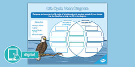 What Is A Venn Diagram? | Twinkl Teaching Wiki - Twinkl