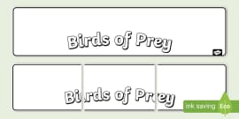 UK Birds of Prey Poster | KS1 Display Resources - Twinkl