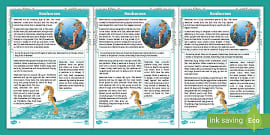 What is a Fact File? - Answered - Twinkl Teaching Wiki