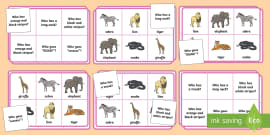 What Am I Animal Guessing Game Cards | Guessing Game