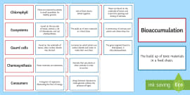 Plants, Photosynthesis and Ecosystems Glossary | Beyond