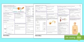 Homeostasis Knowledge Organiser | AQA Science | Beyond