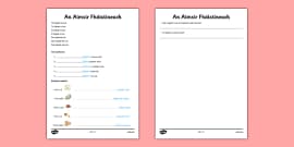 Aimsir Chaite Worksheet | Gaeilge Resources | Twinkl