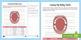 Teeth Labeling Worksheet - Teaching Resource - Twinkl