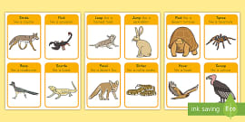 Desert Habitat Animals Adaptations and Desert PowerPoint