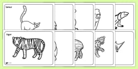 Animal Habitats PowerPoint - Teaching Resource - Twinkl
