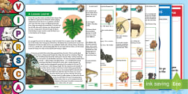 KS2 Polar Regions Focused Reading Skills Comprehension Pack