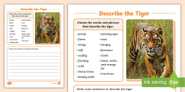 What is a Tiger? | Tiger Facts for Kids | Twinkl - Twinkl