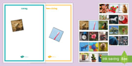clipart living and non living things activity