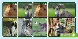 Kadink Australian Animal Snap & Memory Game