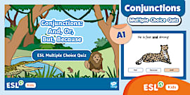 Literacy Lesson: Conjunctions