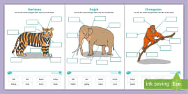 Structure of Animals Pack | Animal Diagrams to Label Structure of Animals Pack | Animal Diagrams to Label