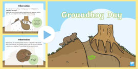 Groundhog Day PowerPoint | Grades 3 - 5 | Twinkl - Twinkl