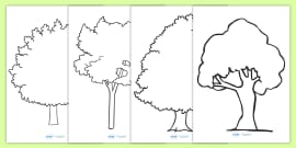 👉 Tree Cut Out Printable Activity | Life Science | Twinkl USA