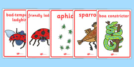 FREE! - Resource Pack to Support Teaching on The Bad Tempered Ladybird