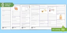 Homeostasis Progress Sheet | AQA Biology | Beyond