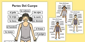 Spanish Body Parts Labelling Worksheet - spanish, body parts