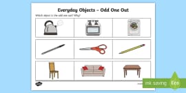 odd worksheet objects everyday animals twinkl sheet