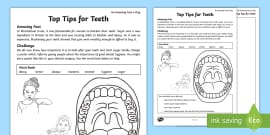 Teeth KS2 Labeling Worksheet - Teaching Resource - Twinkl