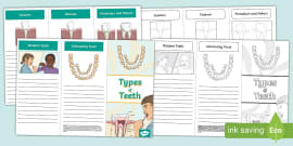 Functions of Teeth Fact File Template (teacher made)