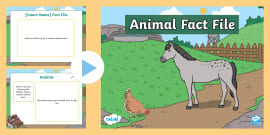 What is a Fact File? - Answered - Twinkl Teaching Wiki