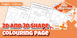 Grade 3 - Term 4 - Coding - Worksheet: 2D and 3D Shapes