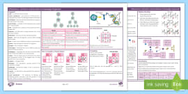 Plant Reproduction Knowledge Organiser | KS3 | Beyond