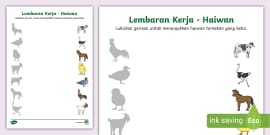 Lembaran Kerja Bahasa Melayu Haiwan Liar / Lembaran Kerja Matematik ...