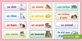 Vocabulaire d'hiver  Vocabulary cards, Word wall, Classroom