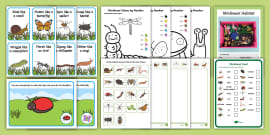 Minibeast Paper | Minibeast A4 Page Borders (teacher made)