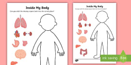 free human organ matching and labeling activity