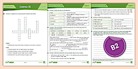 ESL Curriculum Level 14 Lesson 10 Activity Sheet