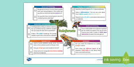 rainforest homework grid ks2
