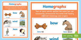 Homonym Homograph Homophone Explanation Chart (teacher Made)