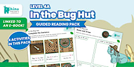 Level 2c The Map Guided Reading Pack