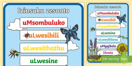 Izimo - Shapes Posters isiZulu (teacher made) - Twinkl